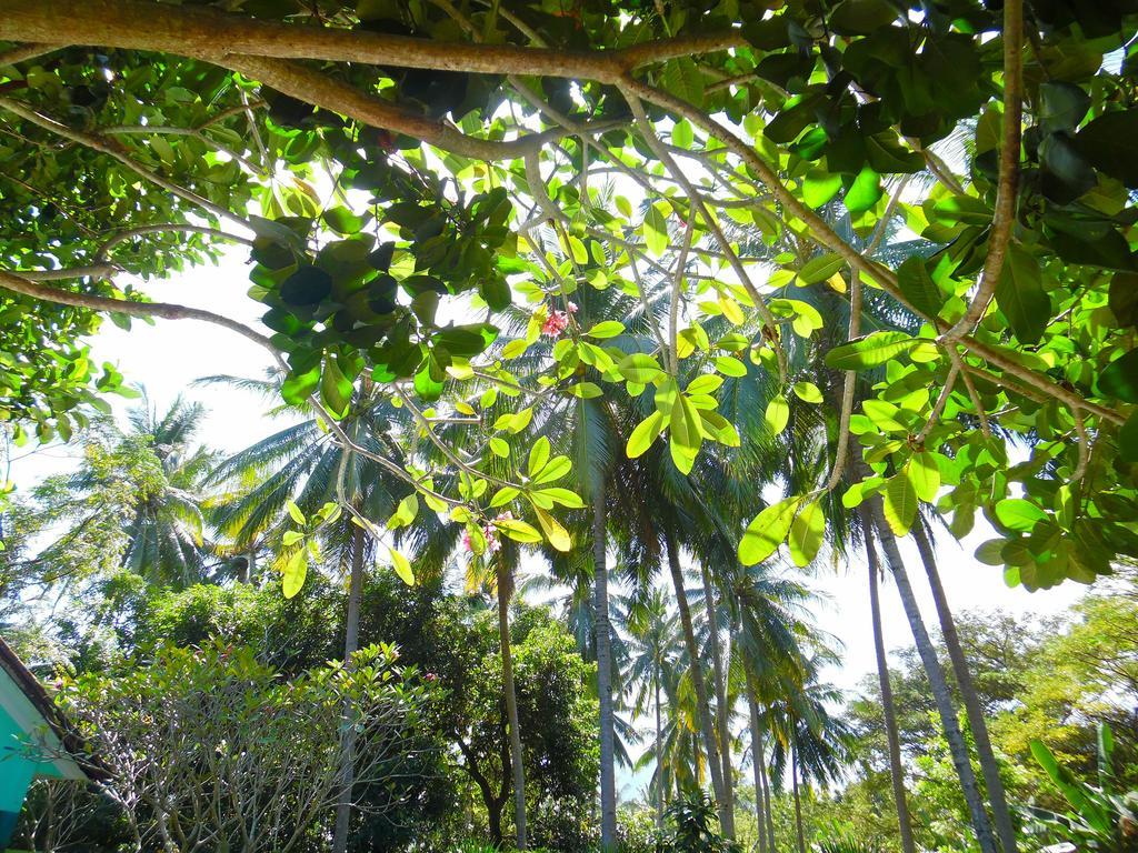 Hotel Lazy Monkey Senggigi Exterior foto
